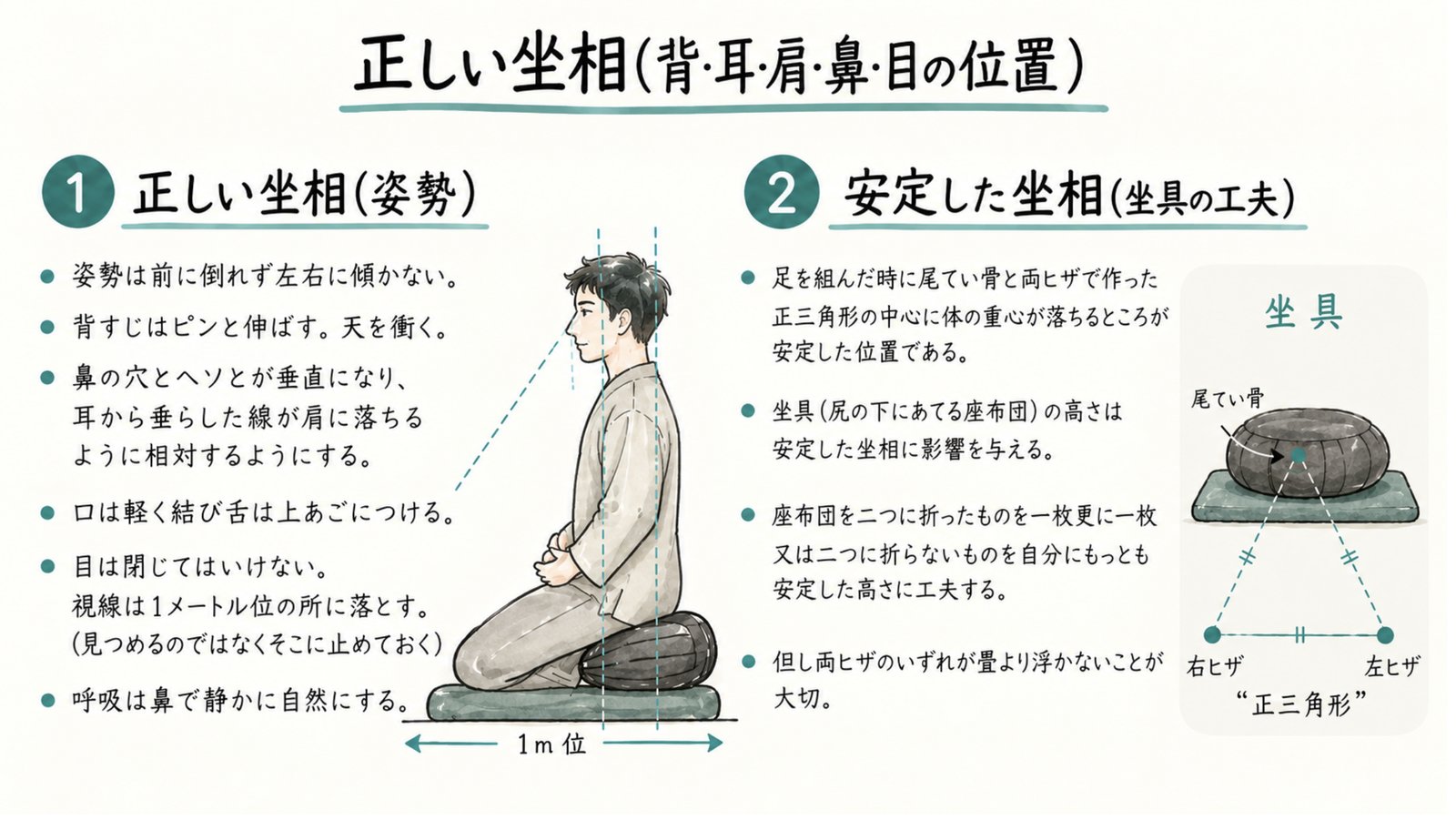 正しい坐相。背すじを伸ばし、鼻とへそが垂直、耳と肩が一直線。口は軽く結び、視線は1メートルほど先に落とす。坐具で安定した坐相をつくる